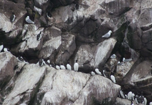 Newfoundland 2019-The Sights